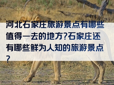 河北石家庄旅游景点有哪些值得一去的地方？石家庄还有哪些鲜为人知的旅游景点？