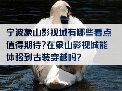 宁波象山影视城有哪些看点值得期待？在象山影视城能体验到古装穿越吗？