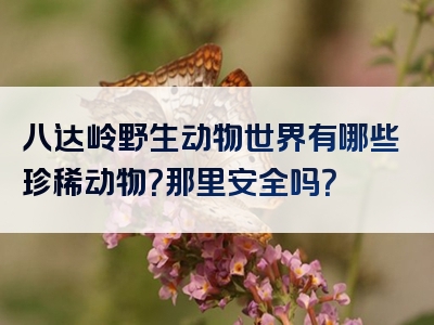 八达岭野生动物世界有哪些珍稀动物？那里安全吗？