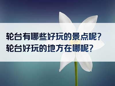 轮台有哪些好玩的景点呢？轮台好玩的地方在哪呢？