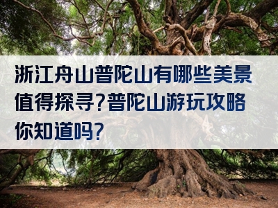 浙江舟山普陀山有哪些美景值得探寻？普陀山游玩攻略你知道吗？