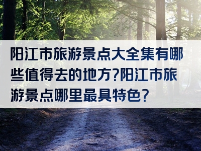阳江市旅游景点大全集有哪些值得去的地方？阳江市旅游景点哪里最具特色？