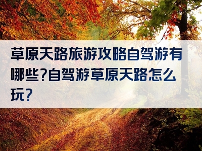 草原天路旅游攻略自驾游有哪些？自驾游草原天路怎么玩？