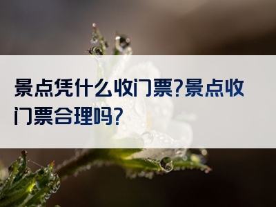 景点凭什么收门票？景点收门票合理吗？