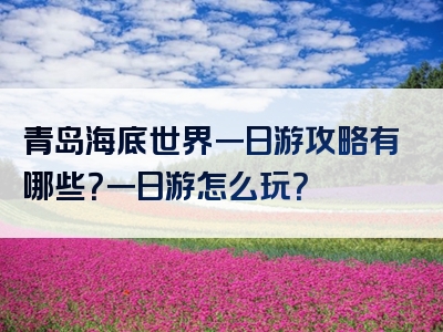 青岛海底世界一日游攻略有哪些？一日游怎么玩？
