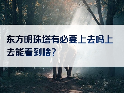 东方明珠塔有必要上去吗上去能看到啥？