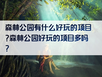森林公园有什么好玩的项目？森林公园好玩的项目多吗？