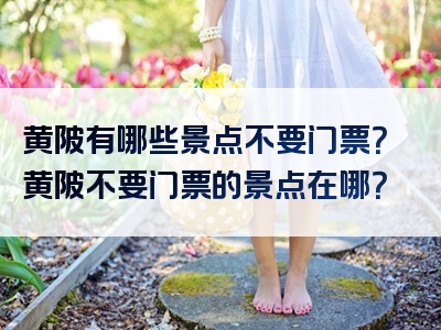黄陂有哪些景点不要门票？黄陂不要门票的景点在哪？