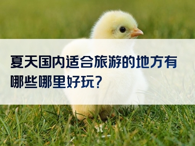 夏天国内适合旅游的地方有哪些哪里好玩？