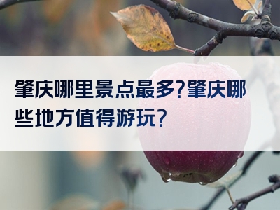 肇庆哪里景点最多？肇庆哪些地方值得游玩？