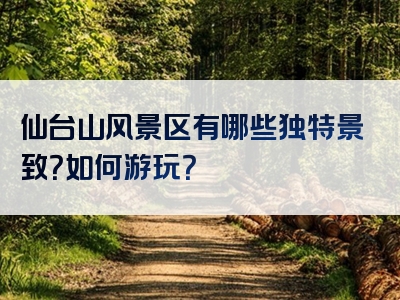 仙台山风景区有哪些独特景致？如何游玩？