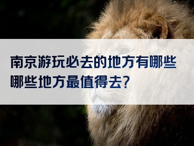 南京游玩必去的地方有哪些哪些地方最值得去？