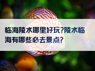 临海陵水哪里好玩？陵水临海有哪些必去景点？