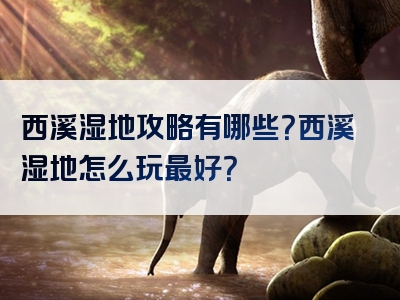 西溪湿地攻略有哪些？西溪湿地怎么玩最好？