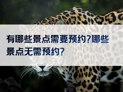 有哪些景点需要预约？哪些景点无需预约？