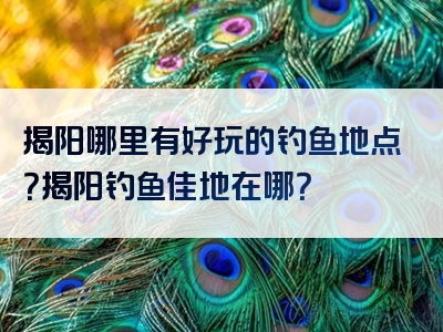 揭阳哪里有好玩的钓鱼地点？揭阳钓鱼佳地在哪？