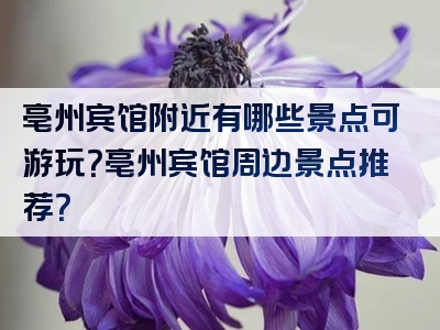 亳州宾馆附近有哪些景点可游玩？亳州宾馆周边景点推荐？