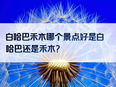 白哈巴禾木哪个景点好是白哈巴还是禾木？