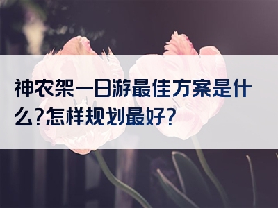 神农架一日游最佳方案是什么？怎样规划最好？
