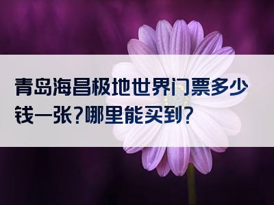 青岛海昌极地世界门票多少钱一张？哪里能买到？
