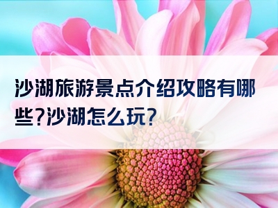 沙湖旅游景点介绍攻略有哪些？沙湖怎么玩？