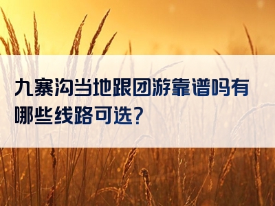 九寨沟当地跟团游靠谱吗有哪些线路可选？