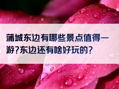 蒲城东边有哪些景点值得一游？东边还有啥好玩的？