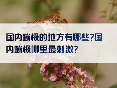 国内蹦极的地方有哪些？国内蹦极哪里最刺激？