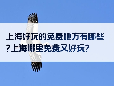 上海好玩的免费地方有哪些？上海哪里免费又好玩？