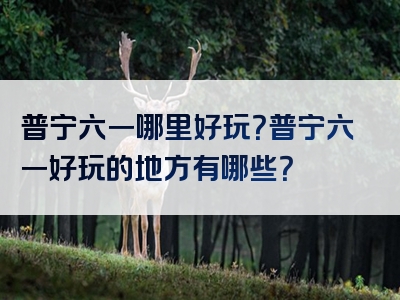 普宁六一哪里好玩？普宁六一好玩的地方有哪些？