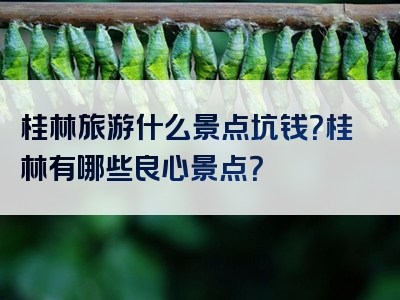 桂林旅游什么景点坑钱？桂林有哪些良心景点？