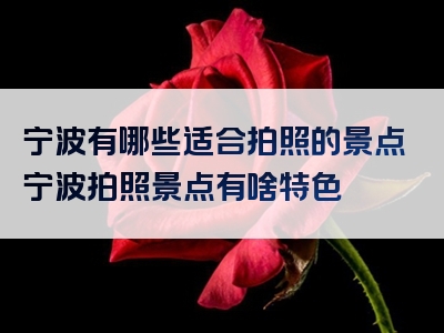 宁波有哪些适合拍照的景点宁波拍照景点有啥特色
