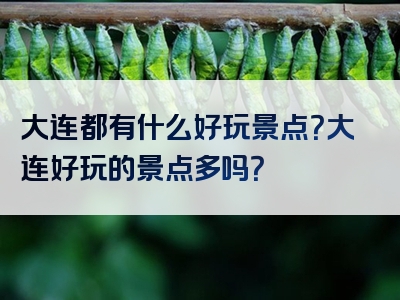大连都有什么好玩景点？大连好玩的景点多吗？
