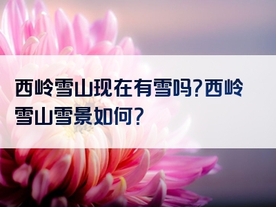 西岭雪山现在有雪吗？西岭雪山雪景如何？