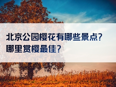 北京公园樱花有哪些景点？哪里赏樱最佳？