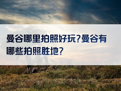 曼谷哪里拍照好玩？曼谷有哪些拍照胜地？