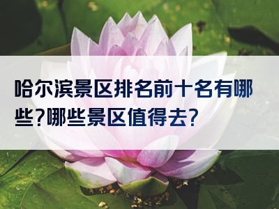 哈尔滨景区排名前十名有哪些？哪些景区值得去？