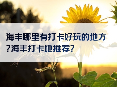 海丰哪里有打卡好玩的地方？海丰打卡地推荐？