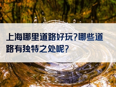 上海哪里道路好玩？哪些道路有独特之处呢？