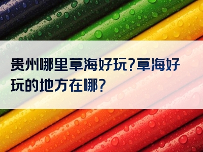 贵州哪里草海好玩？草海好玩的地方在哪？