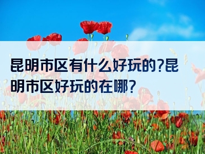 昆明市区有什么好玩的？昆明市区好玩的在哪？