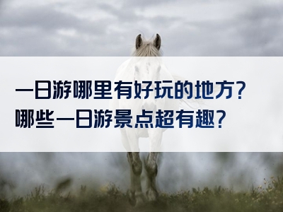 一日游哪里有好玩的地方？哪些一日游景点超有趣？