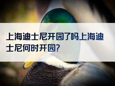 上海迪士尼开园了吗上海迪士尼何时开园？