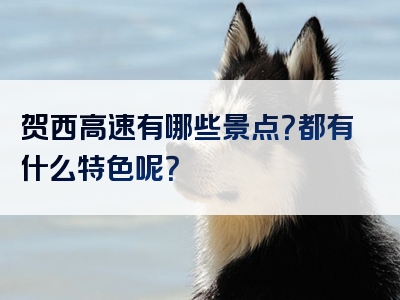 贺西高速有哪些景点？都有什么特色呢？