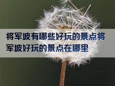 将军坡有哪些好玩的景点将军坡好玩的景点在哪里