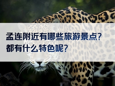 孟连附近有哪些旅游景点？都有什么特色呢？
