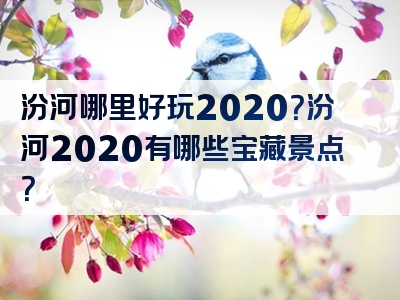 汾河哪里好玩2020？汾河2020有哪些宝藏景点？