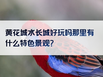 黄花城水长城好玩吗那里有什么特色景观？