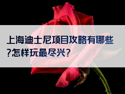 上海迪士尼项目攻略有哪些？怎样玩最尽兴？