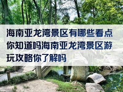 海南亚龙湾景区有哪些看点你知道吗海南亚龙湾景区游玩攻略你了解吗